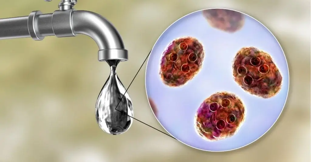 Water Contaminants & germs